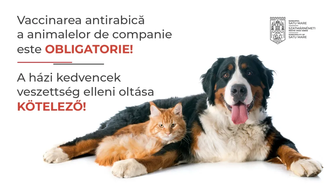 Începe campania de vaccinare antirabică