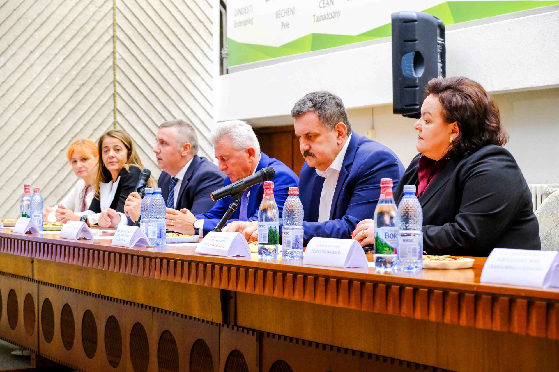 Întâlnire la Consiliul Județean Satu Mare pentru protejarea persoanelor vârstnice din centrele rezidențiale