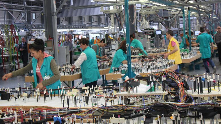 ECONOMIE. Județul Satu Mare pierde angajați: aproape 1.200 de salariați dispar într-un singur an