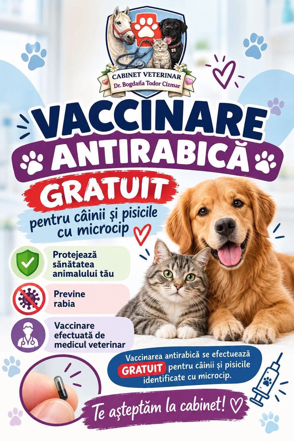 SĂNĂTATE. Vaccin antirabic gratuit pentru câinii și pisicile microcipate! Campanie specială lansată la Ardud